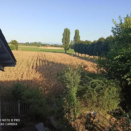 Bilocale Immerso Nel Oviglio
