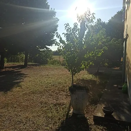 Bilocale Immerso Nel